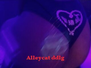 Alleycat_ddlg