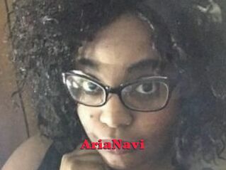 AriaNavi