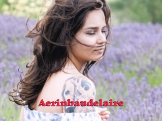 Aerinbaudelaire