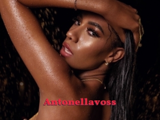 Antonellavoss