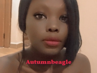 Autumnbeagle