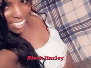 Black_Harley