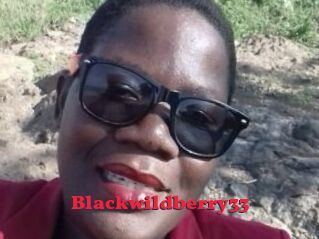 Blackwildberry33