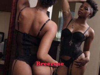 Breerose