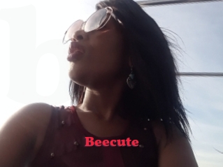 Beecute