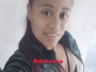 Bushalice