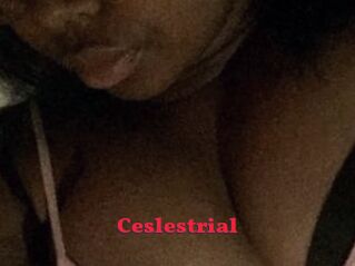 Ceslestrial