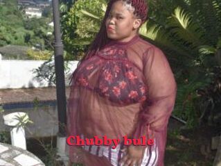 Chubby_bule
