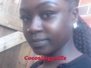 Cocoabigpuffs