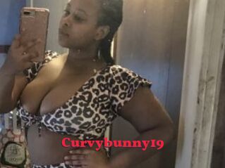 Curvybunny19