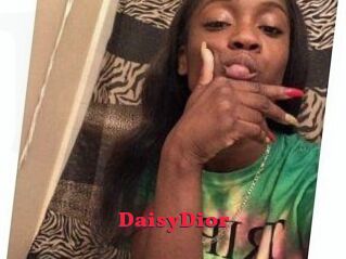 DaisyDior