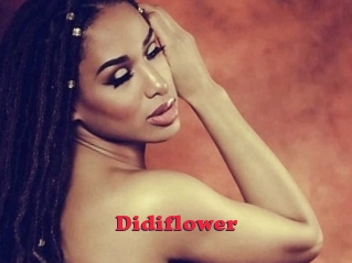 Didiflower