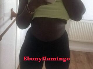 Ebony_flamingo