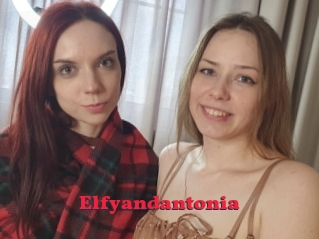 Elfyandantonia