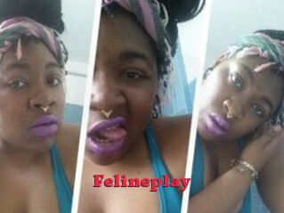 Felineplay