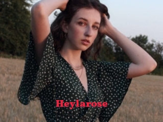 Heylarose