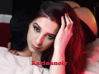 Karinanoir