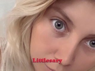 Littlesary