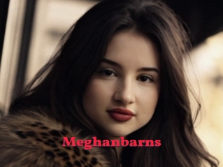 Meghanbarns