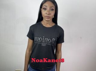 NoaKane18