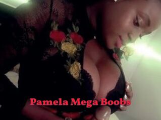 Pamela_Mega_Boobs