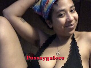 Pussaygalore