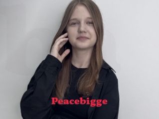Peacebigge