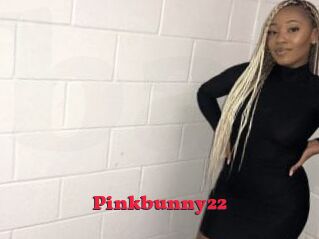Pinkbunny22