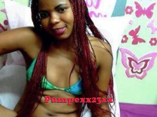 Pumpexx23xx