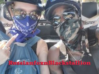 RussianfoxnBlackstallion