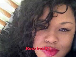 Rosebud75