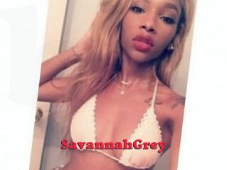 Savannah_Grey