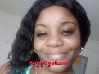 Sappigekont