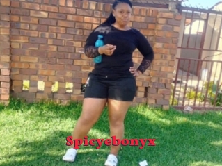 Spicyebonyx