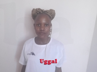 Uggal