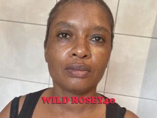 WILD_ROSEY40