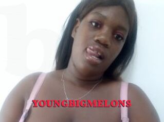YOUNGBIGMELONS