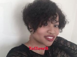YellowB